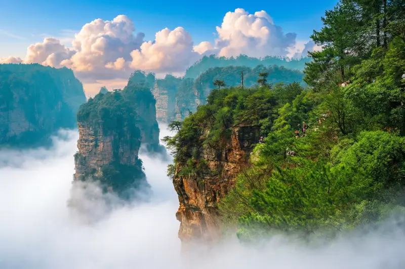 Национальный лесной парк Чжанцзяцзе (Китай)