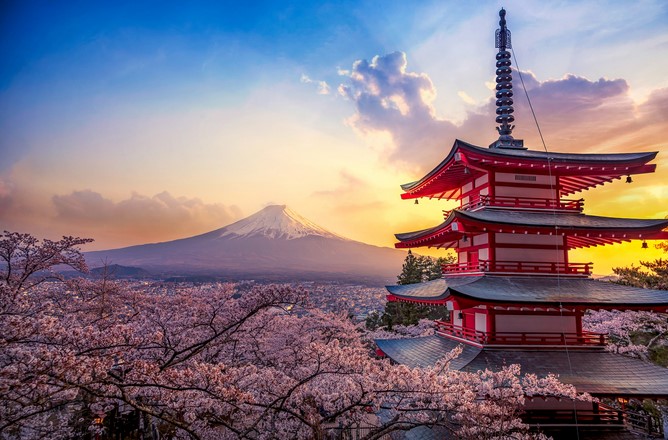 Большой тур в Японию на цветение Сакуры