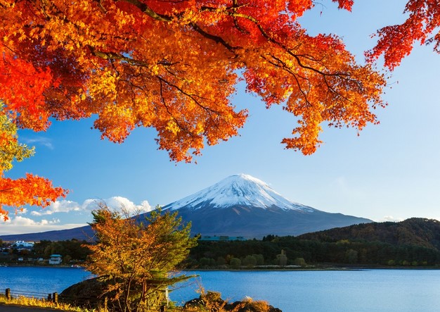 Экскурсионный тур в Японию Осенью на Момидзи-гари