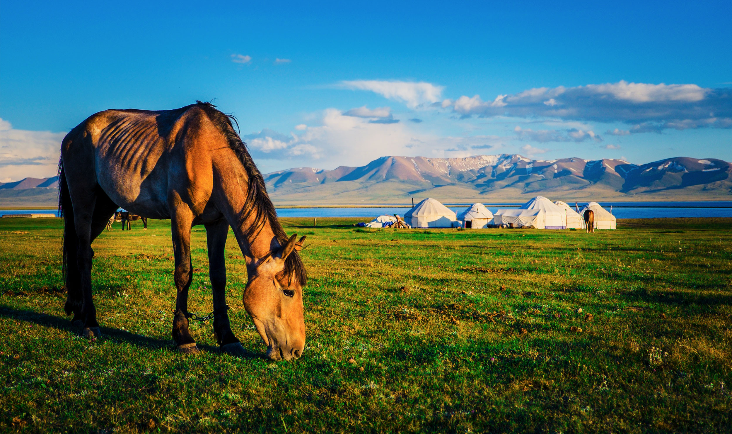 тур Отдых в горах Кыргызстана и экскурсии по древним городам Узбекистана