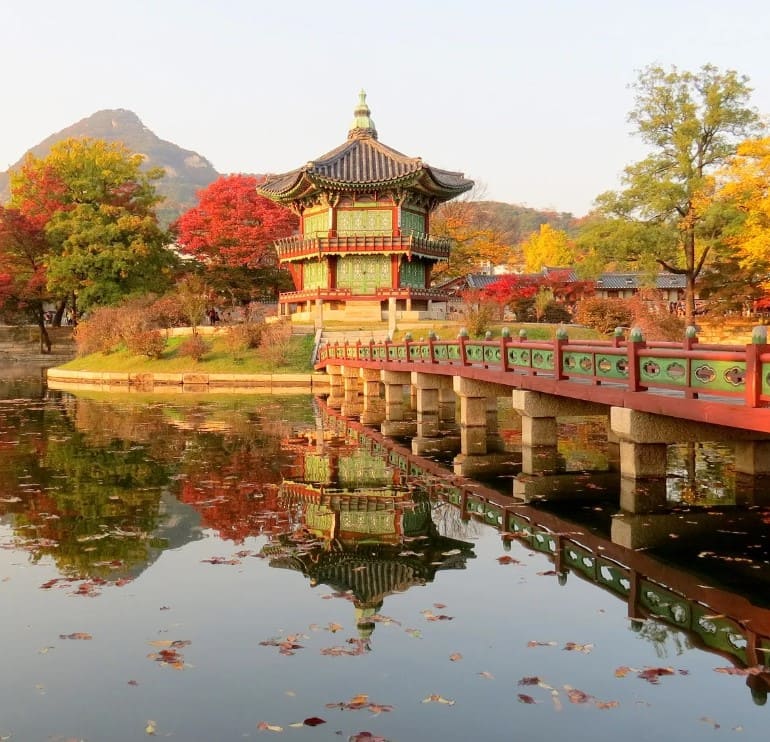 Экскурсионный групповой тур в Южную Корею - осенние оттенки сентября