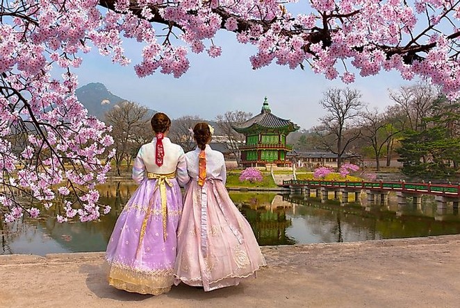 Групповой тур на цветение сакуры в Южную Корею + о. Чеджу