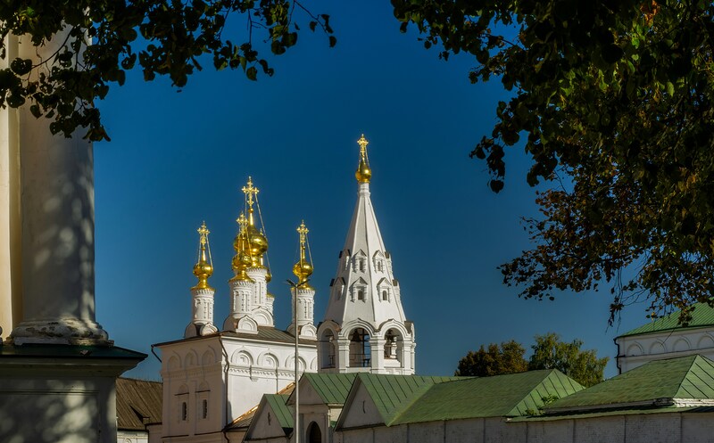 Вид на Рязанский Кремль