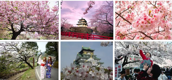 Эконом тур в Японию на цветение Сакуры с авиаперелетом из Москвы