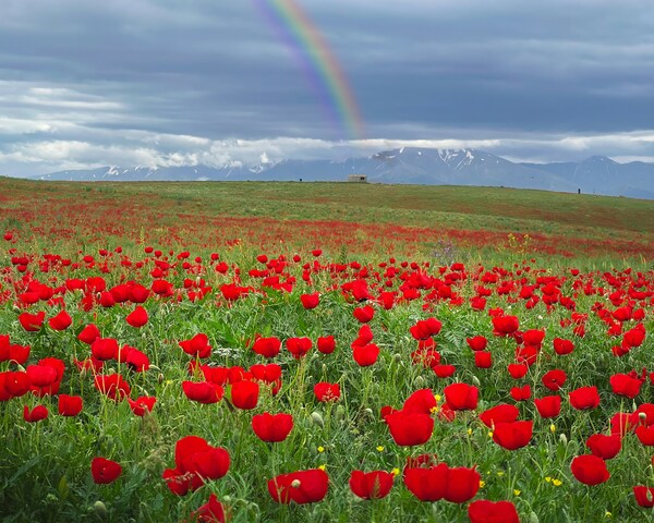 Заповедник Аксу-Жабаглы, Средняя Азия
